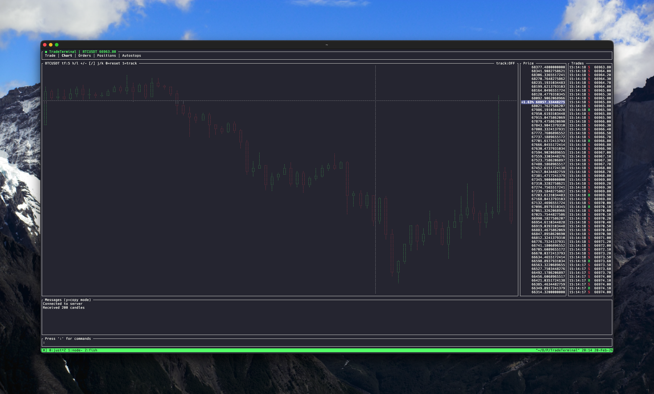 TradeTerminal Interface